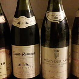 Journée guidée dans les vignes en Côte de Nuits - BEAUNE