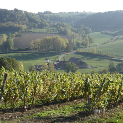 Domaine de Flavigny-Alésia