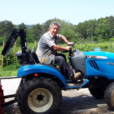 Balade, découverte et dégustation dans un Clos Bourguignon : le Clos de la Belle Châtelaine 