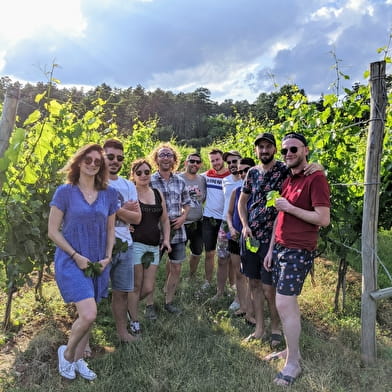 Clos de la Belle Chatelaine : Visite du clos et dégustation de 2 vins et crème de cassis