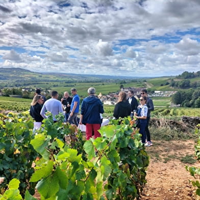 Sur les pas du vigneron