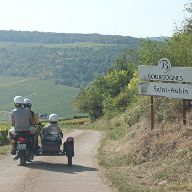 EXCURSIONS EN SIDE-CAR DANS LE VIGNOBLE - ESCAPADE DANS LES CLIMATS DE BOURGOGNE - 1H