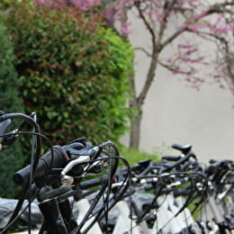 Burgundy Bike - BROCHON