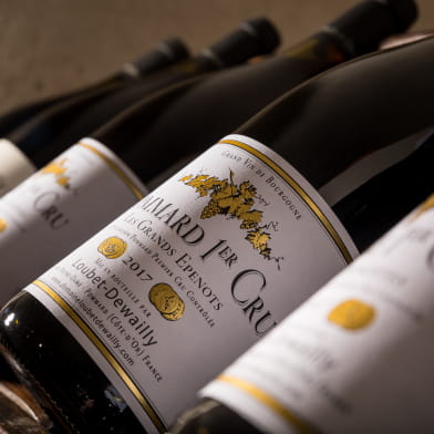 Domaine Loubet-Dewailly - Vente des Vins 2025 :  Dégustation Horizontale  'Découverte' : Pinot noir de la Côte de Beaune 2024