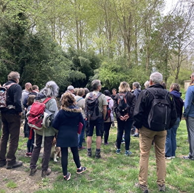 Balades naturalistes gratuites sur la nappe de Dijon Sud  et de la Cent Fonts - Parcours 2 (Saulon-la-Chapelle ; Noiron-sous-Gevrey) - ENS2024