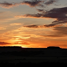 Balade nocturne _ENS2026  'sur réservation' - LEUGLAY