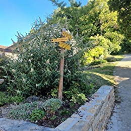 CHAMBOLLE-MUSIGNY - CHAMBOLLE-MUSIGNY