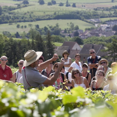 OeNolay tour - Coeur des Hautes Côtes de Beaune