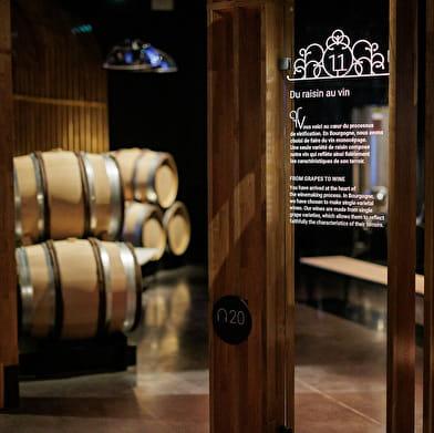 Parcours de visite - Cité des Climats et vins de Bourgogne Beaune