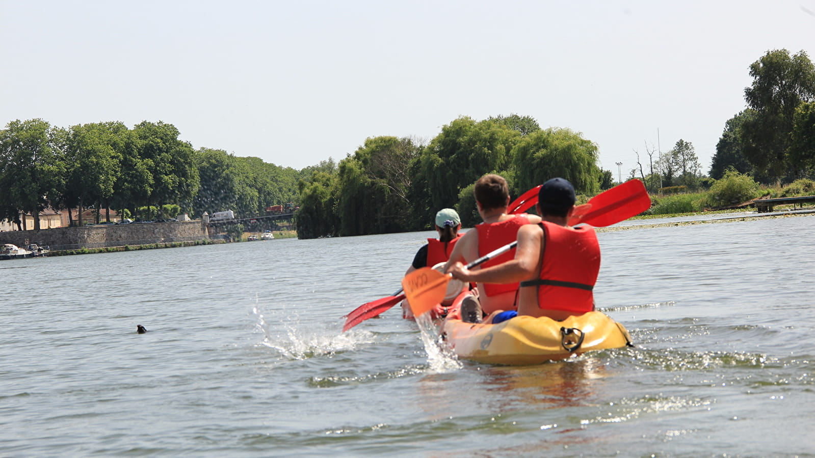 Location de kayaks à Auxonne