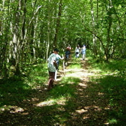 Une Vie d'Apprentis-Sages - PONTAILLER-SUR-SAONE