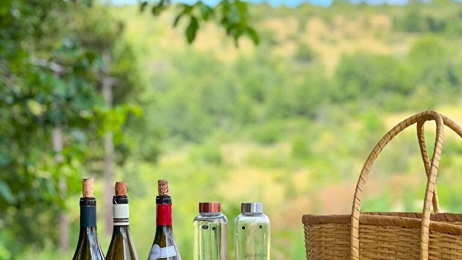 Wine Tour Découverte 