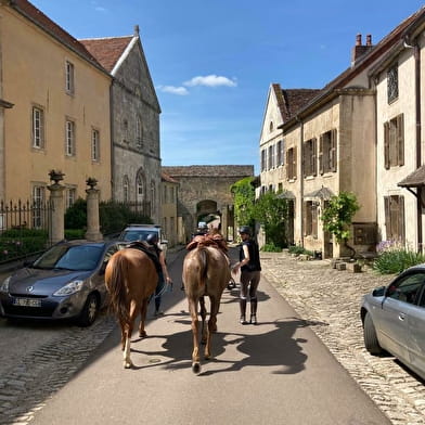 Randonnée épicurienne et sportive 'Les anis de Flavigny'