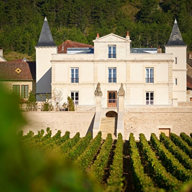 Vignobles en scène : rendez-vous « Vins et Théâtre » au Château de Saint Aubin