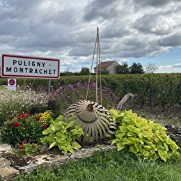 PULIGNY-MONTRACHET - PULIGNY-MONTRACHET
