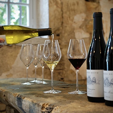 Dégustation 'Les vins de fêtes'