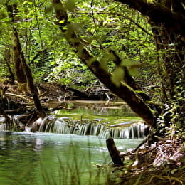 Le Ru Blanc - VAL-SUZON