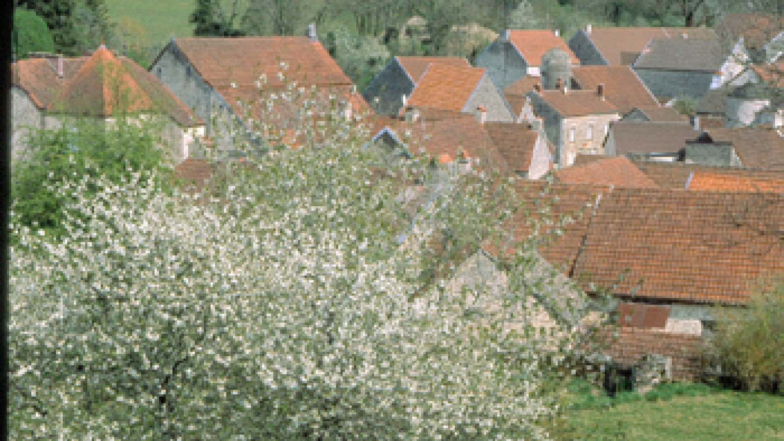 Village de Salives - labellisé Cités de Caractère