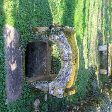 Chapelle et Fontaine Saint Martin 