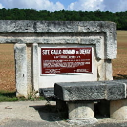 Aire de pique-nique de Diénay - DIENAY
