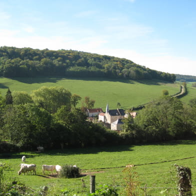 Gîte du Château de Bussy-la-Pesle