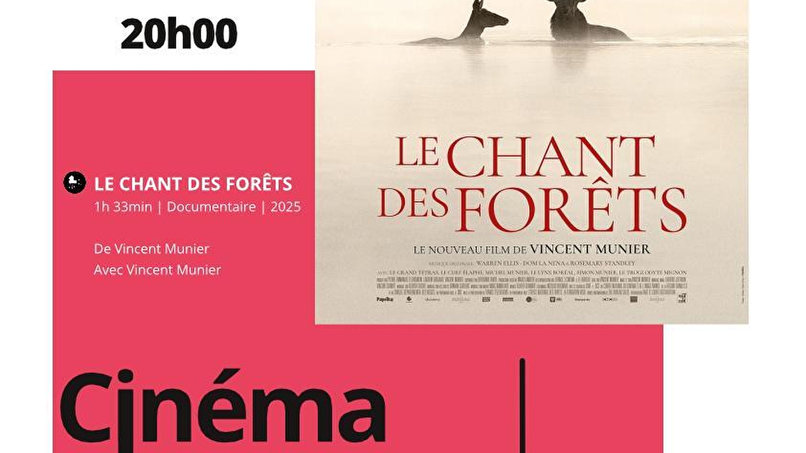 Séance cinéma 'Le chant des forêts'