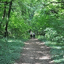 Parc écologique de la Combe Saint-Joseph - DIJON