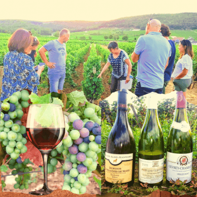 Clos de bourgogne, découverte des Secrets 'vigne et vin'