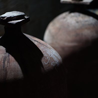 Randonnée viticole à Molesme - Domaine DANGIN