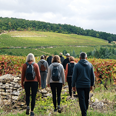 Dégustation intuitive au Coeur de la Côte de Nuits