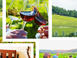 Clos de bourgogne, découverte des Secrets des vins de Bourgogne - Couchey