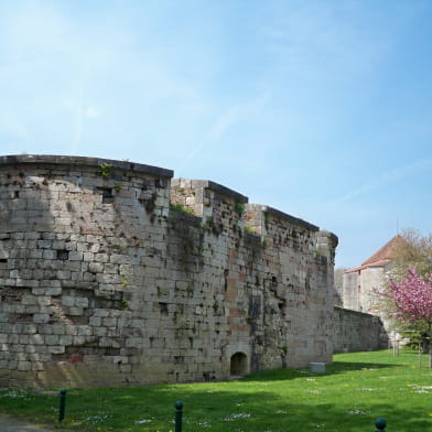 Château Louis XI