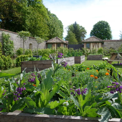 Les Vergers-potagers de Montigny