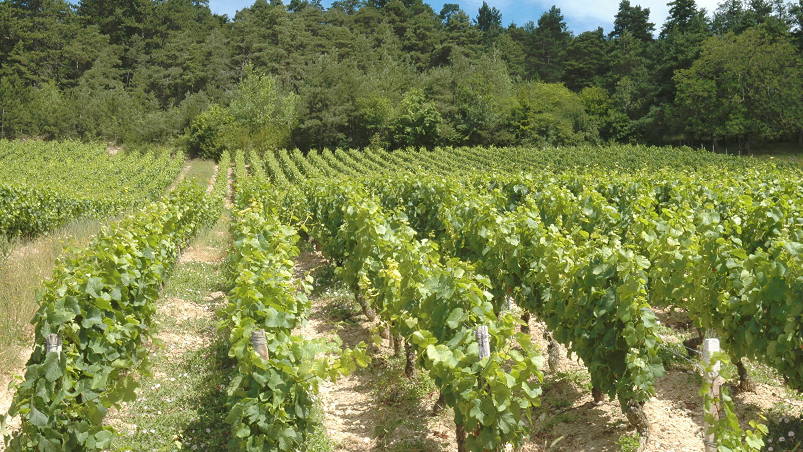 La Route du Crémant