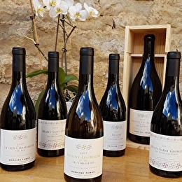 Marchand-Tawse - NUITS-SAINT-GEORGES