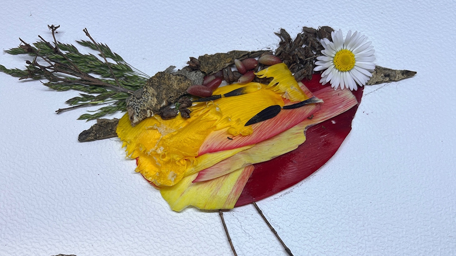 Exposition Les Oiseaux de Jacqueline MARANGOS