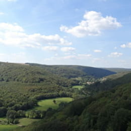 Forêt du Val Suzon - VAL-SUZON