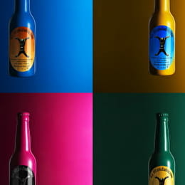 Brasserie des Trois Fontaines - Bière la Mandubienne - Virgile Berthiot - BRETENIERE