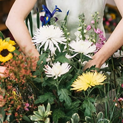 Concert 'Un voyage dans la lune'