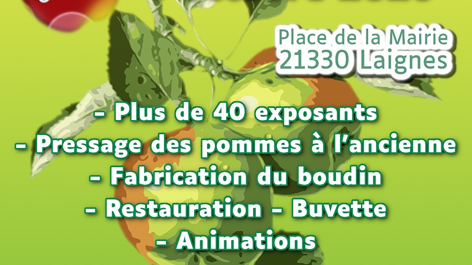 Fête de la pomme à Laignes (21)