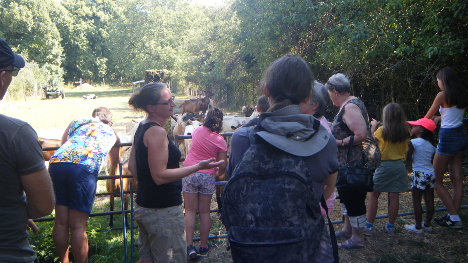 A la rencontre des biquettes