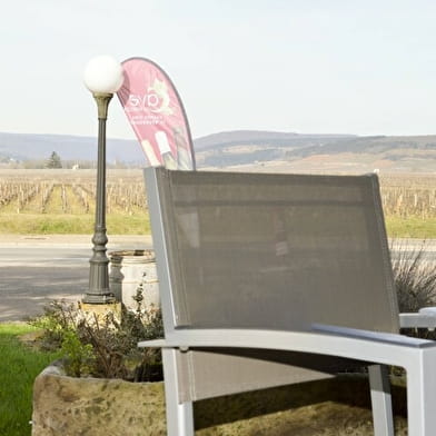 Cave du Bareuzai : Dégustation Spéciale Vente des Vins des Hospices de Beaune 2025