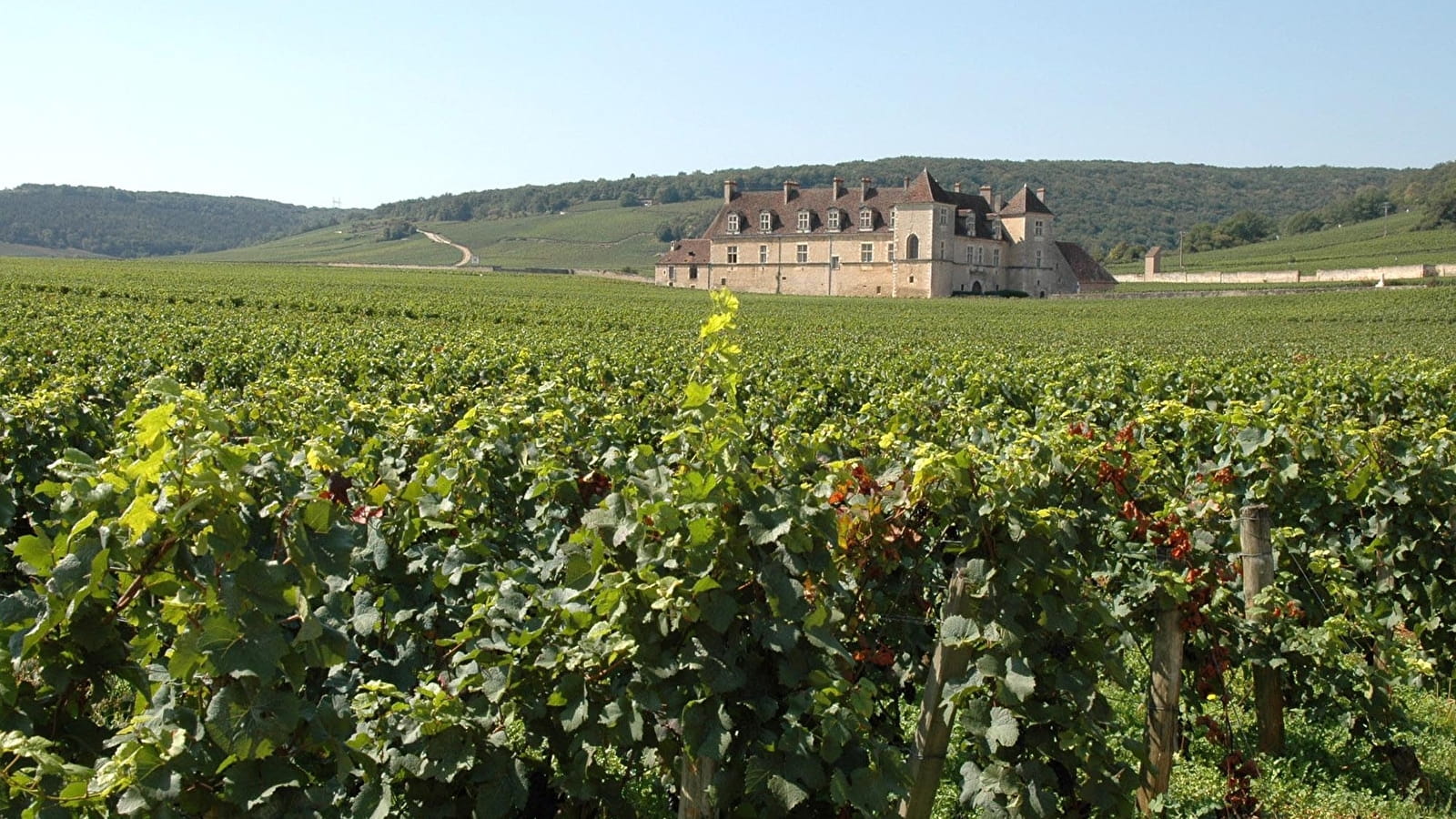 Autour du Clos de Vougeot