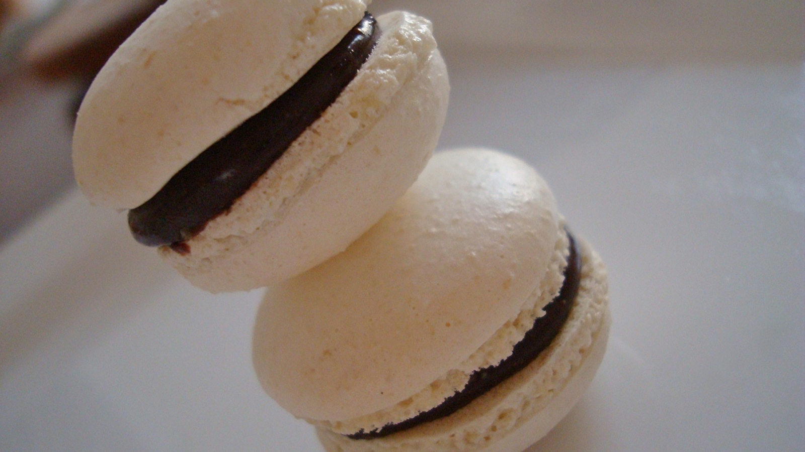 Pâtissez comme un chef à la Cense des Possibles : préparez vos macarons pour Noël