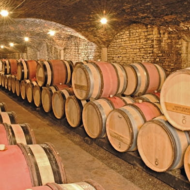 Domaine Henri de Villamont