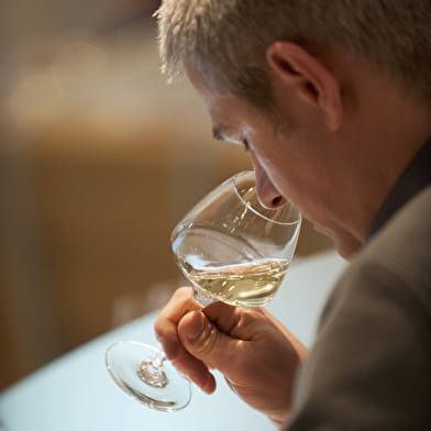 Journée dégustation des vins de Bourgogne 