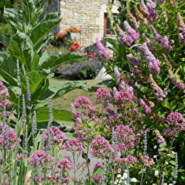 VILLAINES-LES-PREVOTES - 