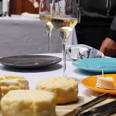 Dégustation de fromages et vins locaux