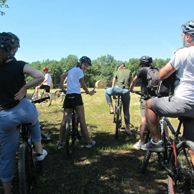 Découverte de l'Auxois à vélo