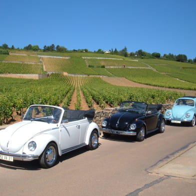 Société Vin et Terroirs / marque Wine and Tours